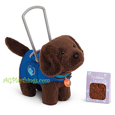 Service Dog with Chocolate Chip